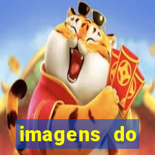 imagens do corinthians sendo zuado